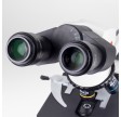 Mikroskop binokuler BA210 LED